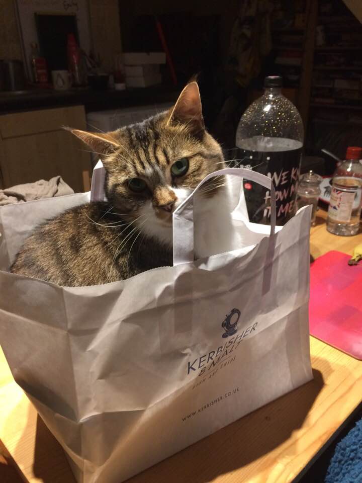 Gimli in a bag